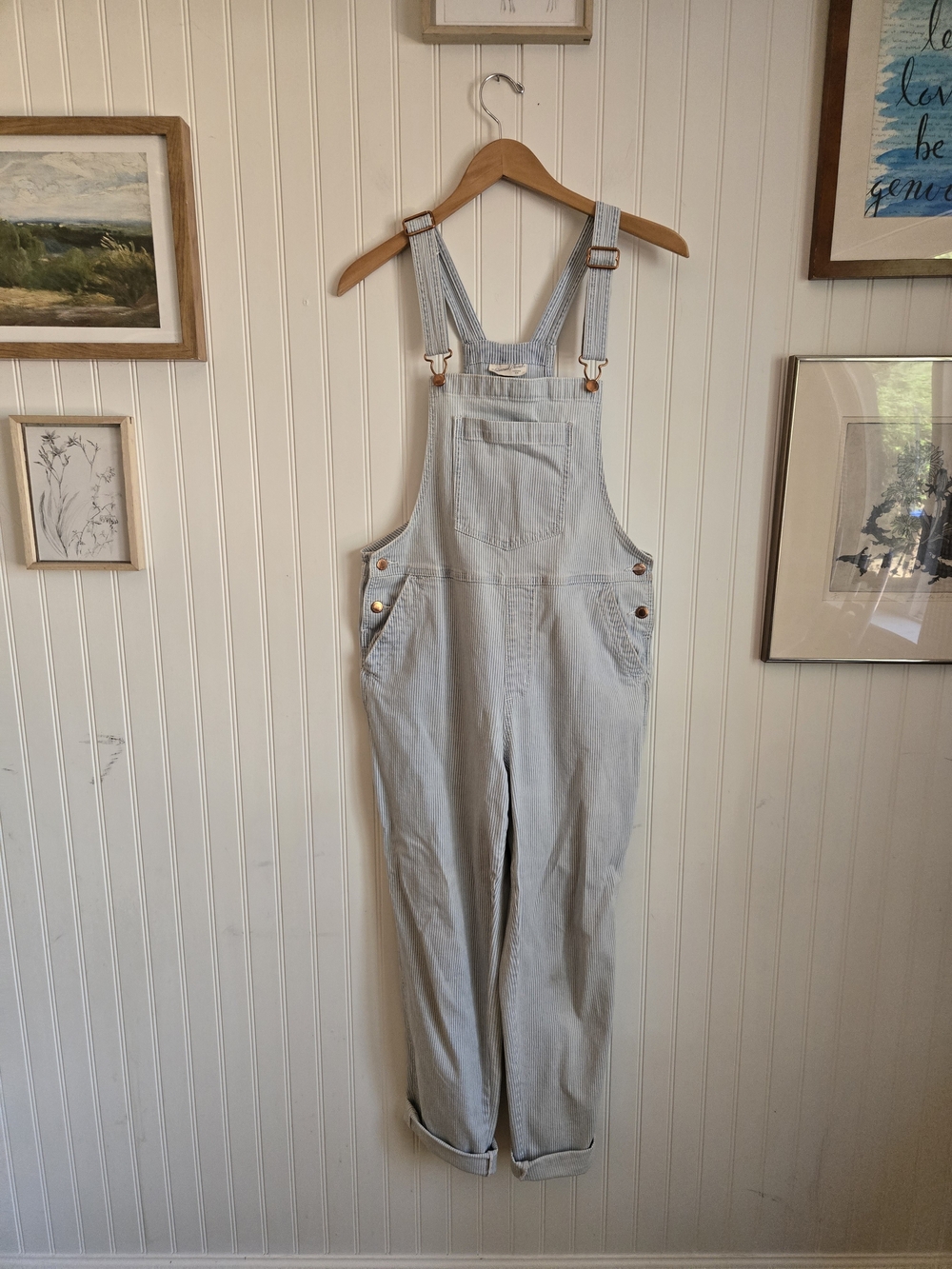 Universal Thread Light Blue Denim Pinstripe Overalls with Adjustable Straps
